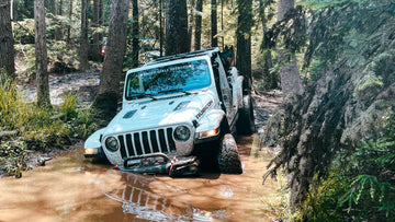 Ultimate Guide to Kinetic Recovery Ropes for Vehicle Rescue - Miolle