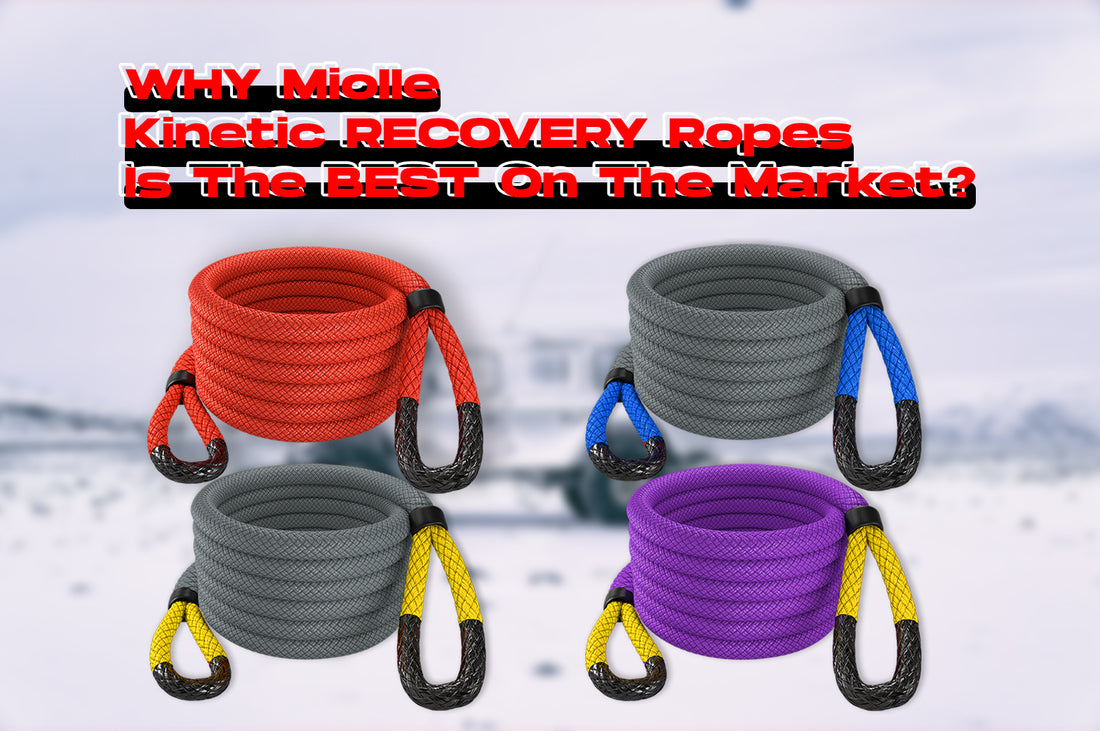 Why Miolle Kinetic Recovery Ropes Is The Best On The Market