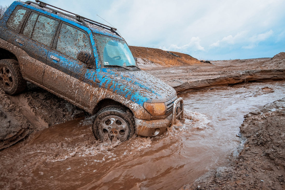 🌊 Embrace the Wild: Off-Roading on Water and Mud! 🍃